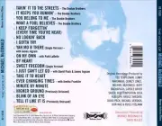 MICHAEL MCDONALD (VOCALS) - THE VOICE OF MICHAEL MCDONALD NEW CD