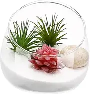 Mipcase 1Pc Transparent Micro Landscape Bottle Lifelike Decor Present for Home Store Durable Glass Design for Aesthetic