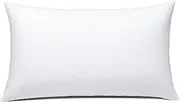 JIEITIVE Throw Pillow Inserts Hypoallergenic Premium Pillow Stuffer Rectangle Lumbar Pillow for Decorative Pillow Covers Cushion Set of 1-12 x 20 Inches