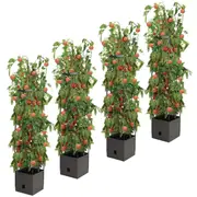 Greenlife Tomato Tower 3-Tier Growing Frame 4 Pack - Sturdy Plant Support for