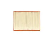 For 2001-2005 BMW 325xi Air Filter 29413DPMS 2002 2004 2003 2.5L 6 Cyl (for: BMW)