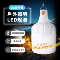 在飛比找momo購物網優惠-【ROYAL LIFE】USB充電戶外照明LED燈泡-4入組
