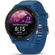 Garmin 010-02641-01 Forerunner 255 Smartwatch Running Watch - Tidal Blue 46 mm