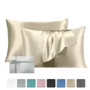 LINENOVA 100% Mulberry Silk Double-sided Pillowcases Luxury 22 Momme Pillow Cases
