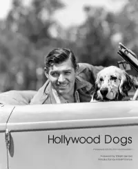 在飛比找博客來優惠-Hollywood Dogs: Photographs fr