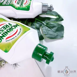 澳洲 Morning Fresh魔力芬超濃縮洗碗精400ml