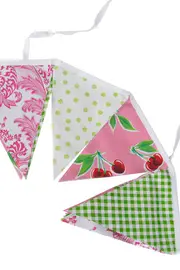 Party Bunting Pink & Lime--BEN-BUNTINGPL