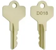 D018 keys (2 keys) Allen-Bradley OEM item, X-181170 key, DO18 key