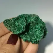 Rough Malachite Specimen 170916 59.3mm Stone of Transformation Metaphysical