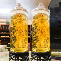 在飛比找ETMall東森購物網優惠-家用泡酒專用酒瓶20斤玻璃罐帶龍頭10斤泡楊梅人參藥酒瓶家用