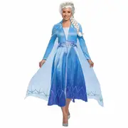 Elsa Deluxe Disney Frozen 2 Snow Queen Movie Book Week Adult Womens Costume