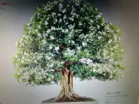 在飛比找Yahoo!奇摩拍賣優惠-精品收藏割愛老樹頭八方根七里香小品盆栽數10年粗頭大樹型近乎