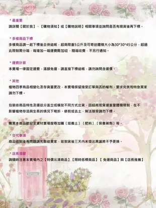 花花世界_室內植物-- 龜甲蘭(電信蘭、龜背竹)--葉形特殊9吋盆/ 高40-60公分/Ts(無法超商取貨)