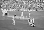 West Indies Cricket Great Joel Garner 1980S No 29 Old Photo