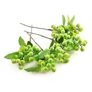 Artificial Berries, 4Pcs Fakeberries Lifelike Berry with Stems Christmas Green