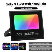 30W 50W 100W RGB LED Floodlight Bluetooth Halloween AU Plug DIM IP66 Outdoor