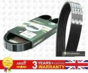 V Ribbed Belt For BMW 1 3 Fiat BRAVA BRAVO PALIO PUNTO 11281433948