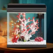 PONDON 4 Gallon Fish Tank with Detachable Lid, Low-Iron Glass Aquarium Starter K