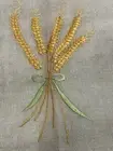 Wheat Sheaf Placemats white - 20x14, Sealed, San Pellegrino collection- 6 In Set