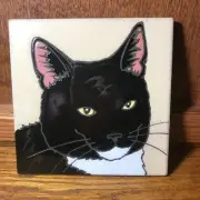 Black & White Cat Hand Painted tile by Pumpkin Tile - C1 - 6 x 6"