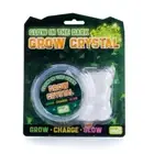 Glow In The Dark Grow Crystal - TOY