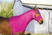Perri's 3-Season Lycra Mane Hood