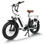 2023 熱銷 48V 750W 雙電池電動自行車鋁合金電動胖輪胎貨運自行車