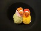 Jellycat A PAIR OF LOVELY LOVEBIRDS Cute Soft Plush Toy NWT - FAST SHIP! LOVEY!