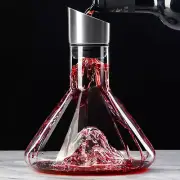 Iceberg Wine Decanter with Aerator Filter Red Wine Carafe 51Oz Wine Decanter Set