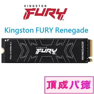金士頓 FURY Renegade 500GB 1TB 2TB PCIe 4.0 NVMe M.2 SSD 1T 2T