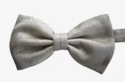 ️NEW BRIONI White/Light Gray 100% SILK Jacquard Men's Pre-Tied BOW TIE