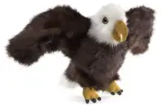 Bald Eagle Hand Puppet by Folkmanis Puppets