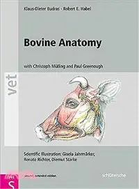 在飛比找三民網路書店優惠-Bovine Anatomy