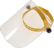 DOITOOL Protective Mask Face Mask Face Guard Transparent Face Cover Spittle Baffle
