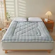 Japanese Tatami Mattresses Single Floor Mattress Soft Breathable Futon Mattress Foldable Oft Portable Sleeping Pad for Home Camping Couch(120x200/3kg)