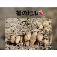 在飛比找蝦皮購物優惠-「現採」大量配合合作私訊，水林台農57號黃金地瓜、蕃薯（產地