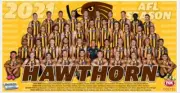 Hawthorn hawks Team poster, AFL football,Sydney swans,Geelong cats bulldogs book