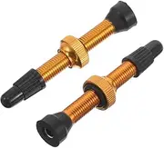 Mountain Bikes Tubeless Core Tool Kit 2pcs Bike Valve Stem Core Removal Airtight French Valve for Easy Maintenance Replacement