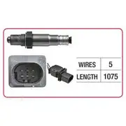RAE Oxygen Sensor - OX859