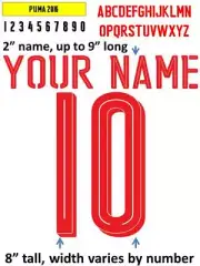GLI AZZURRI 2016 IRON ON heat press transfer numbers for soccer jersey