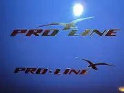 2 PROLINE BOAT DECALS Chrome Marine Vinyl set 50 inch pro line stickers