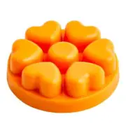 Lush Jungle Citrus Scent Plus Wax Melts