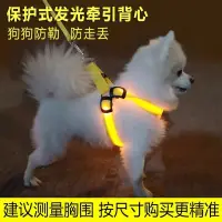 在飛比找露天拍賣優惠-狗狗發光項圈牽引繩背心式LED發光胸背寵物夜光狗繩小型USB