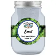 Mr Fothergill's Self Watering Mason Jar Grow Kit- Basil