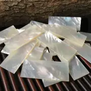 5Pcs White Natural Mother of Pearl Shell Slices for Musical Inlay & Crafting