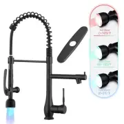 Kitchen Faucet with LED Single Handle Kitchen Sink Faucet with Pull Down Spra...
