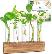KAXYEW Plant Propagation Station, 5 Tube Terrarium with Wooden Stand for Plant Cuttings