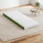 4-Fold Giselle Foldable Mattress Single Green Folding Foam