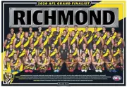 Richmond tigers team poster, AFL football,premiers dogs,crows ,swans,books 3