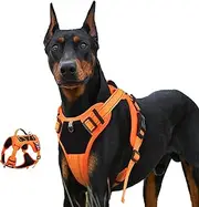 WYBXZXY Orange Reflective Lightweight Tactical Pet Harness Vest with Handle Harness Tactical Dog Harness Vest for Walking, Hiking,Training,Outdoor,Camping (Orange, Large)